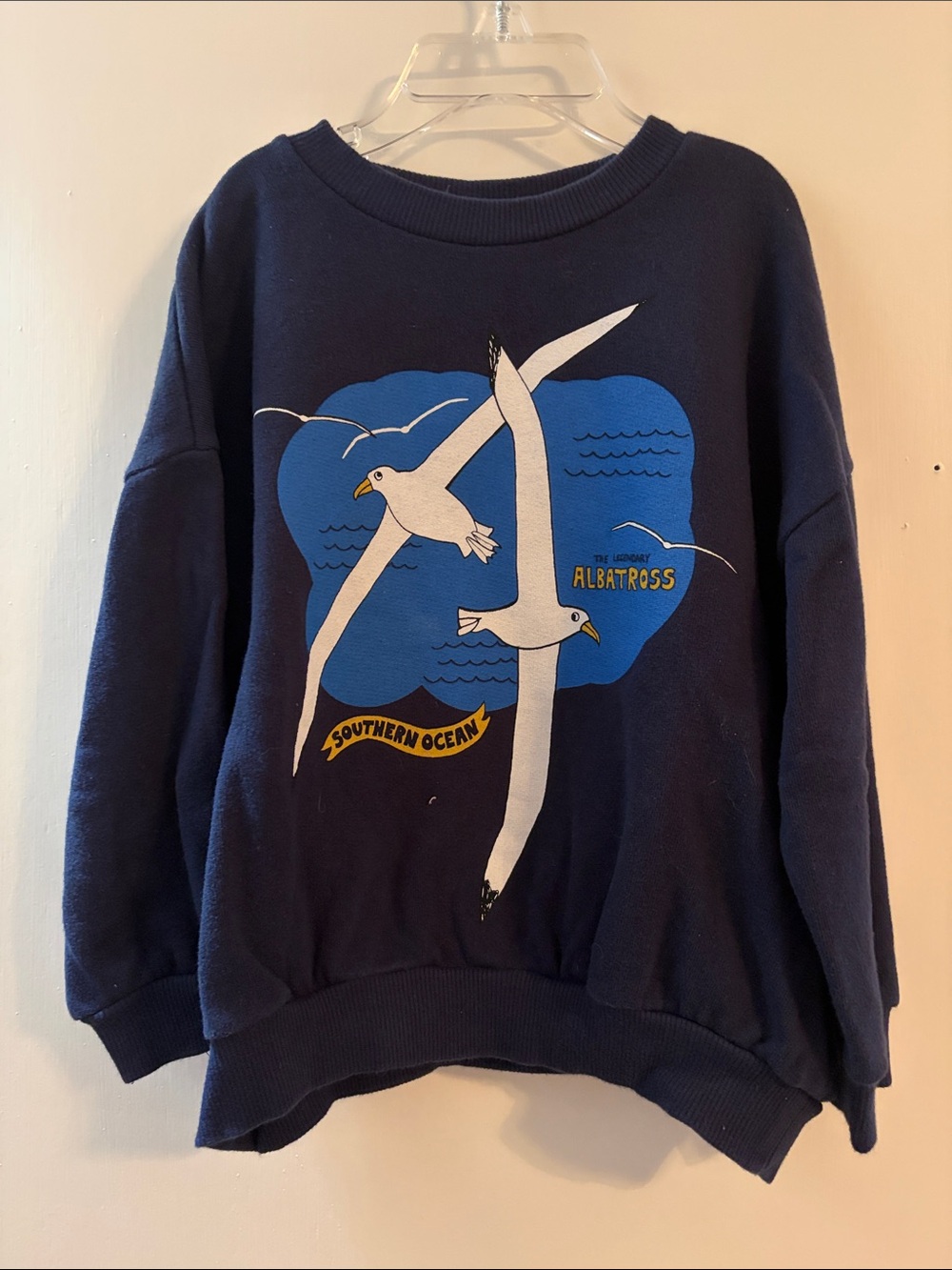 Mini Rodini Navy Albatross Graphic Crewneck Sweater